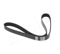 Cinghia trapezoidale multirighe 112-7PK1260 ASHIKA per NISSAN NAVARA