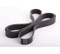 ASHIKA 112-7PK1750 Cinghia Poly-V per HONDA