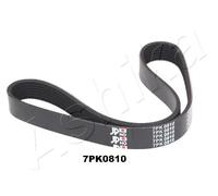 Cinghia trapezoidale multirighe 112-7PK810 ASHIKA