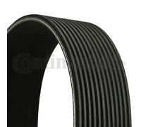 Cinghia trapezoidale multirighe 12PK1890 CONTINENTAL CTAM per IVECO S-WAY X-WAY