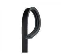 GATES 3PK560 Cinghia servizi