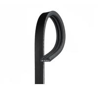 Gates Cinghia Poly V 3PK576SF Micro-V Stretch Fit per Citroën, Fiat, Opel, DS