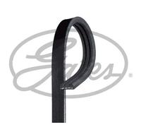 GATES Chingia Micro-V 3PK660