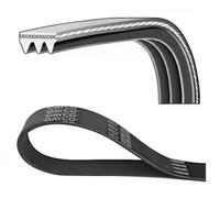 DAYCO 3PK673 Cinghia servizi