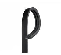 GATES 3PK675 Cinghia servizi nero