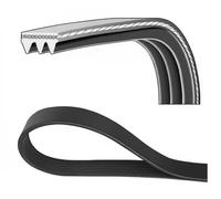 Dayco Cinghia Poly-V 3PK755 per Toyota, Renault, MG, Rover, Dacia