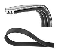 Cinghia trapezoidale multirighe 3PK763 DAYCO per ROVER TOYOTA MAZDA KIA
