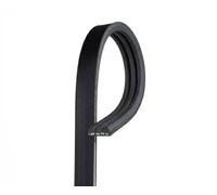GATES CINGHIA SERVIZI POLY V