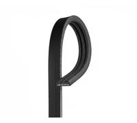 Gates Cinghia Poly-V 3PK842SF Micro-v® Stretch Fit® per Citroën/Mitsubishi