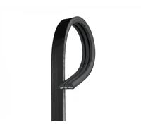 GATES CINGHIA SERVIZI POLY V