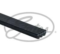 Cinghia trapezoidale multirighe 3PK890 GATES per RENAULT HONDA LEXUS