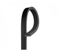 GATES 3PK945 Cinghia servizi