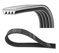 Dayco Cinghia servizi Poly-V 4PK1054 per Fiat Honda Lancia Mitsubishi