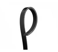 GATES 4PK1230 Cinghia servizi