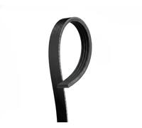 Cinghia Poly-V GATES 4PK613