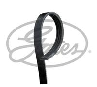Cinghia trapezoidale multirighe 4PK668 GATES per CHEVROLET ALFA ROMEO FIAT FORD