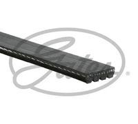 Gates Cinghia Poly-V 4PK718 Micro-V® per Daihatsu, Mitsubishi, Nissan, Peugeot, Tata