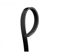 GATES Chingia Micro-V 4PK725
