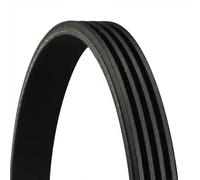 ContiTech Cinghia servizi 4PK815 per FIAT Sedici (FY) e HYUNDAI COUPE (GK)