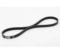 JAPKO 4PK815 Cinghia servizi