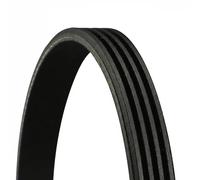 ContiTech Cinghia servizi 4PK841 Poly-V