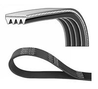 DAYCO 4PK844EE Cinghia servizi