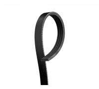 Gates Cinghia Poly-V 4PK855 – Cinghia servizi Micro-V per Audi, BMW e Citroën