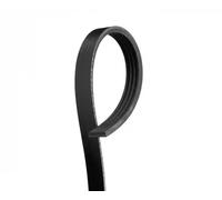 Gates Cinghia servizi Micro-V 4PK868 - Poly V per Citroën, Dodge, Fiat, Honda, Mazda, Nissan