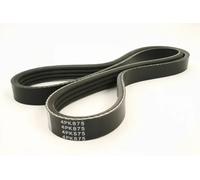 JAPKO 4PK875 Cinghia servizi