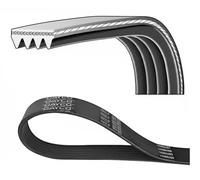 Dayco Cinghia trapezoidale multirighe 4PK880 per KIA SEPHIA