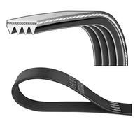 DAYCO 4PK915 Cinghia servizi