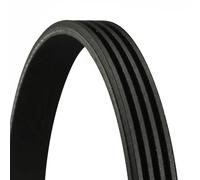 Cinghia Poly-V - CONTINENTAL CTAM 4PK925