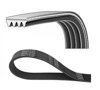 Cinghia trapezoidale multirighe 4PK926 DAYCO per MITSUBISHI NISSAN KIA MAZDA