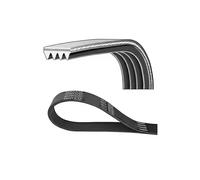 Cinghia Poly-V DAYCO 4PK954