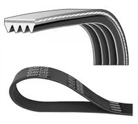 Cinghia Poly-V DAYCO 4PK975