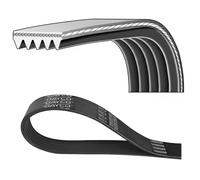 Dayco Cinghia Poly-V 5PK1025 multirighe per Ford, Citroën, Peugeot e altre