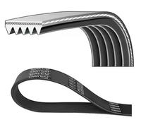 DAYCO 5PK1035 CINGHIA POLY-V COM.ALT ALFA 155-DEDRA