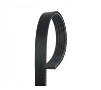 GATES 5PK1040 Cinghia servizi