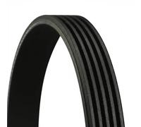Cinghia trapezoidale multirighe 5PK1100 CONTINENTAL CTAM per ALFA ROMEO LANCIA