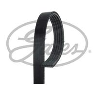 Cinghia trapezoidale multirighe 5PK1108 GATES per MINI MERCEDES-BENZ