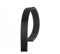 Cinghia Poly-V GATES GAT5PK1108