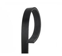 GATES 5PK1113 Cinghia servizi nero