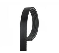GATES 5PK1138 Cinghia servizi