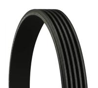Cinghia Poly-V - CONTINENTAL CTAM 5PK1155