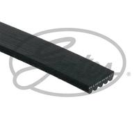 Cinghia Poly V Gates 5PK1205 Micro-v® per Chrysler MG Mitsubishi Opel Rover