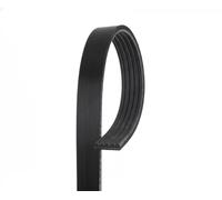 5PK1236SF Cinghia Poly-V (MARCA-GATES).