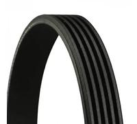 CONTINENTAL CTAM cinghia Poly-V 5PK1255 5PK1255 5 nervature 1.255 mm