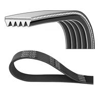 Cinghia Poly-V DAYCO 5PK1334