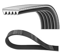DAYCO 5PK1340 Cinghia servizi