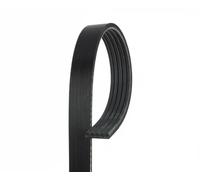 Cinghia Poly-V GATES 5PK1343